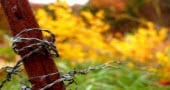 7 Link Building Mistakes to Avoid While Building Backlink